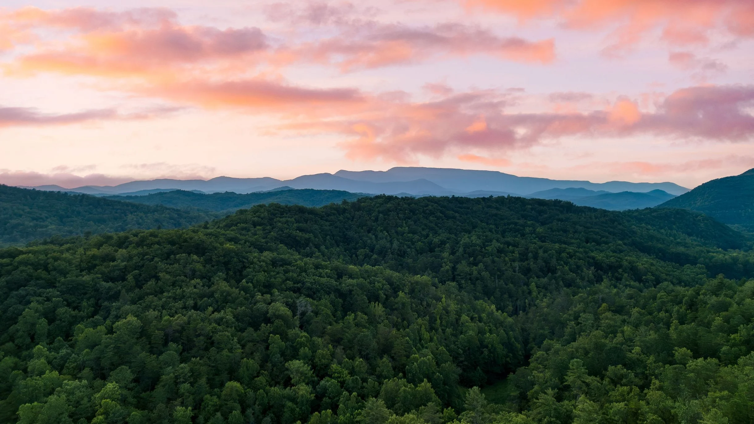 Wander Cosby Smoky Ridge #63