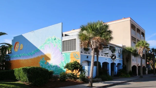 Wander Palms Reach #40