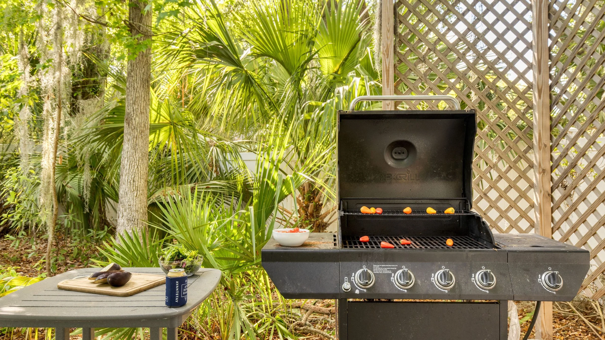 Wander Hilton Head Lakes #68