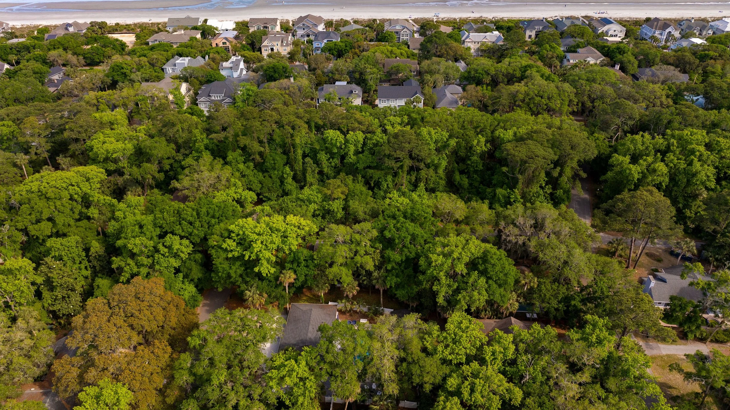 Wander Hilton Head Lakes #97