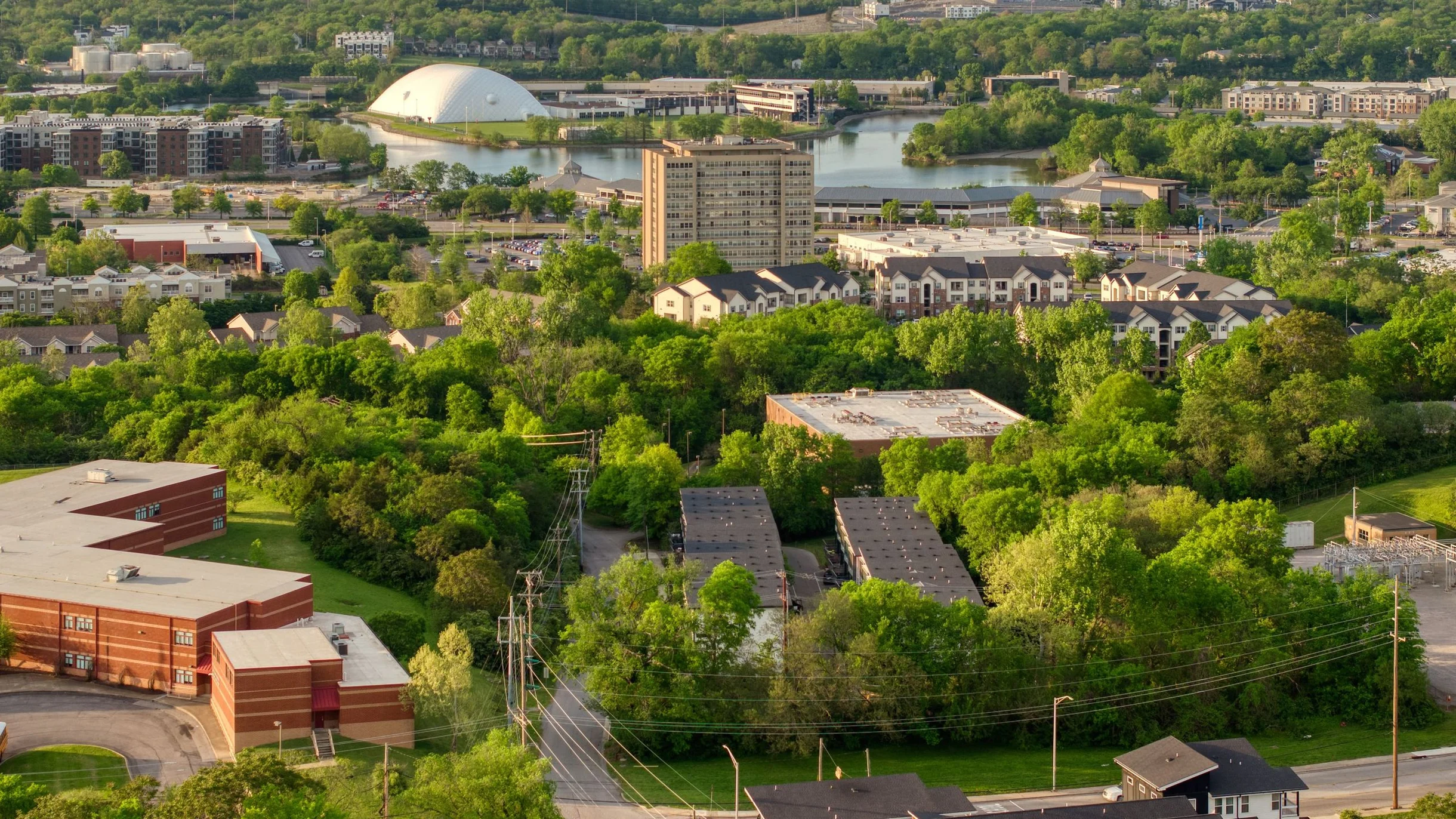 Wander Nashville Buena Vista #72