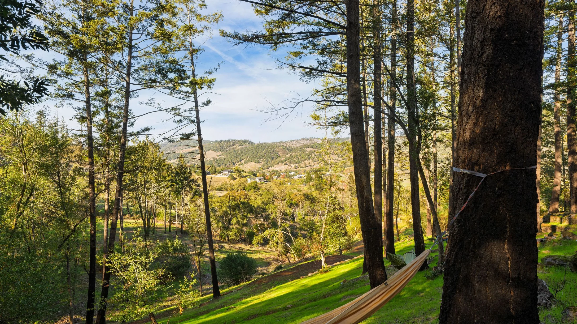 Wander Rincon Valley Retreat #61