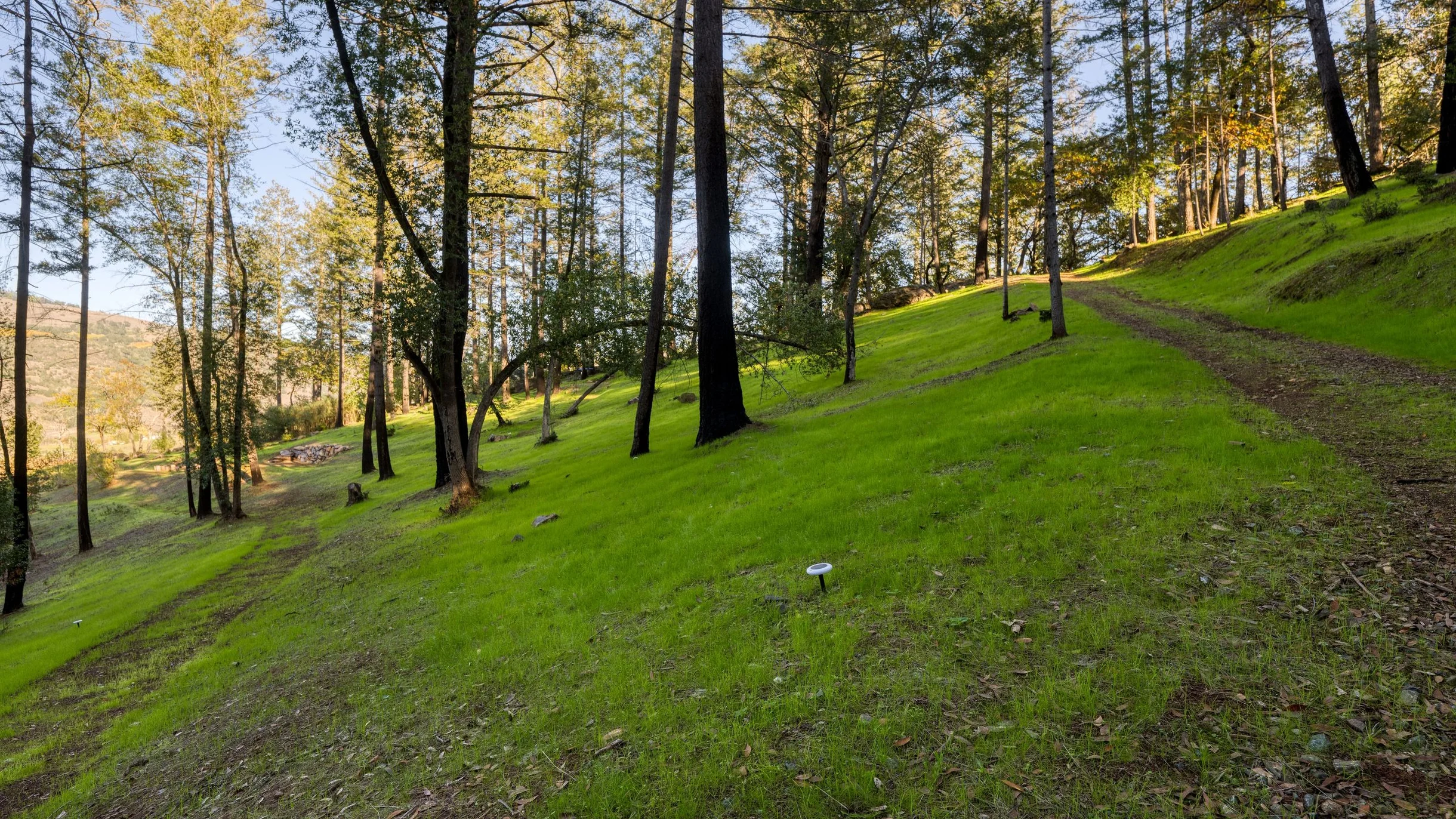 Wander Rincon Valley Retreat #80
