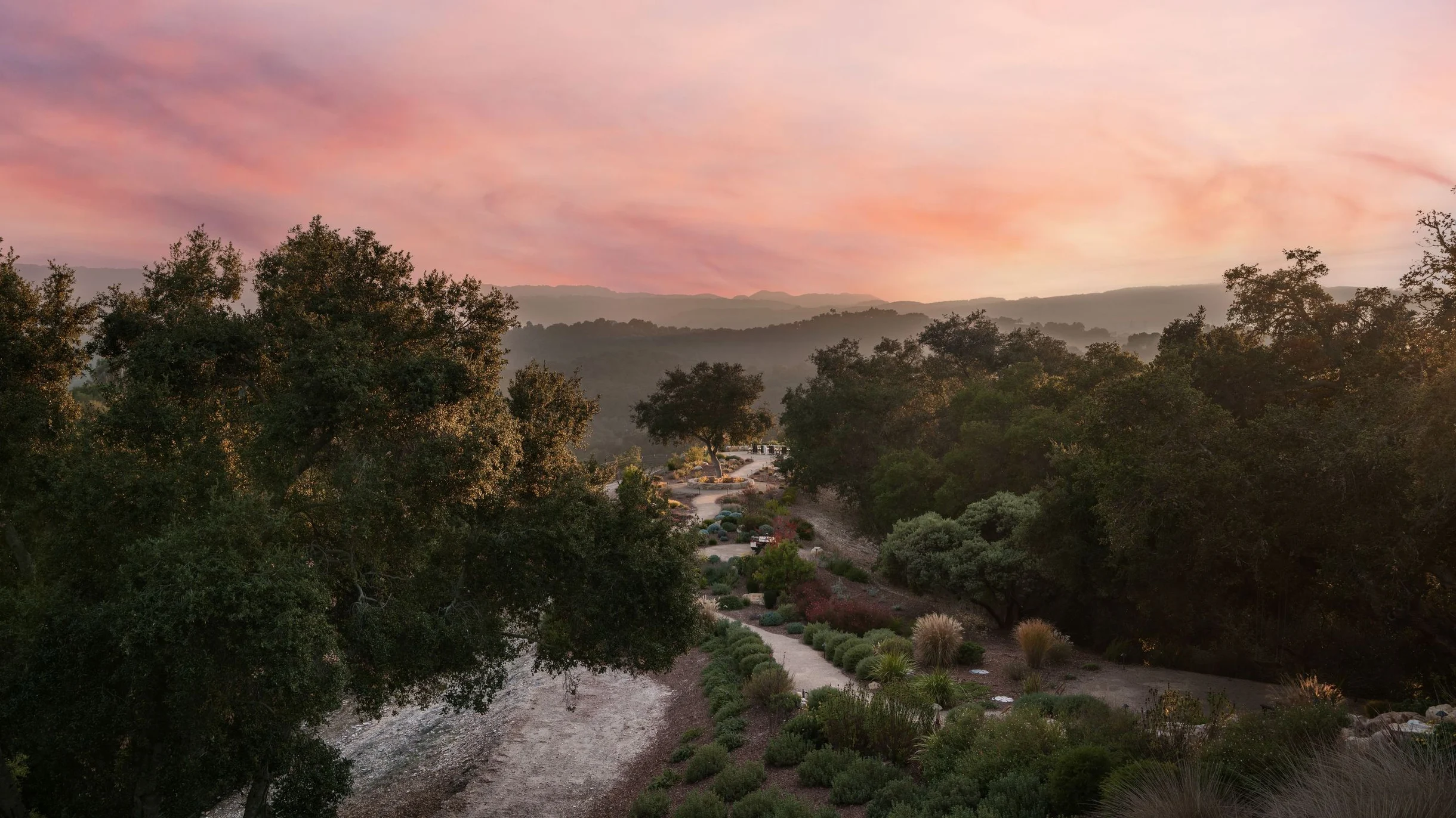 Wander Paso Robles Haze #123