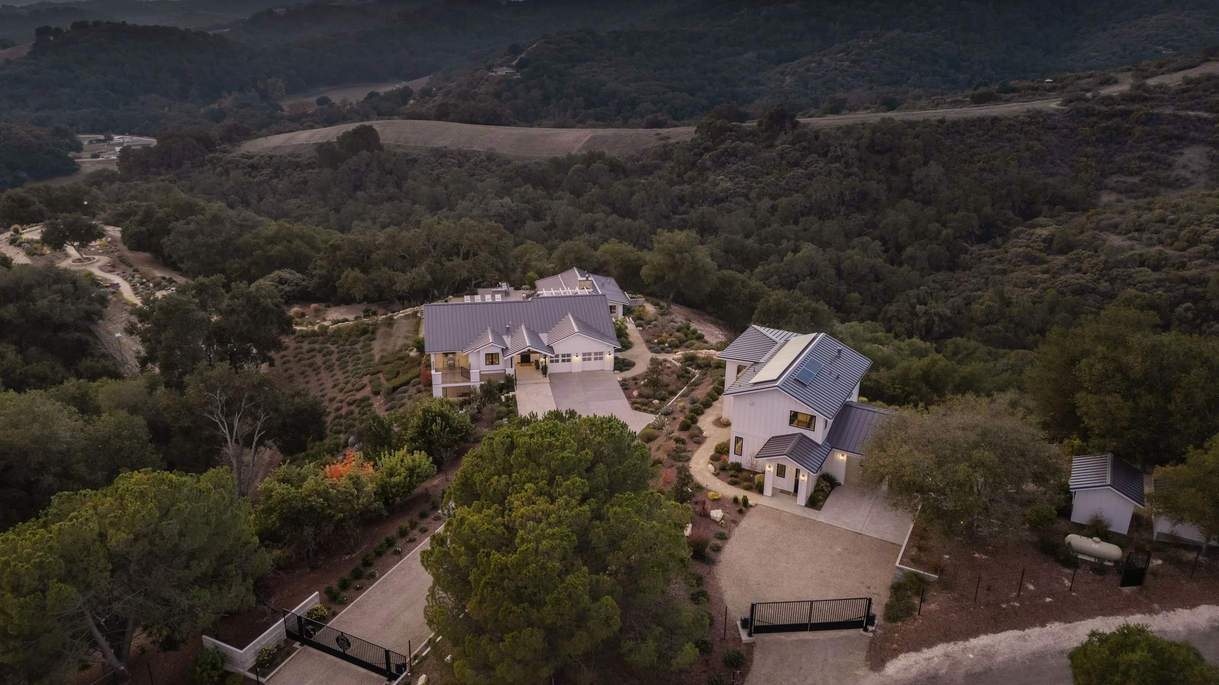 Wander Paso Robles Haze #105