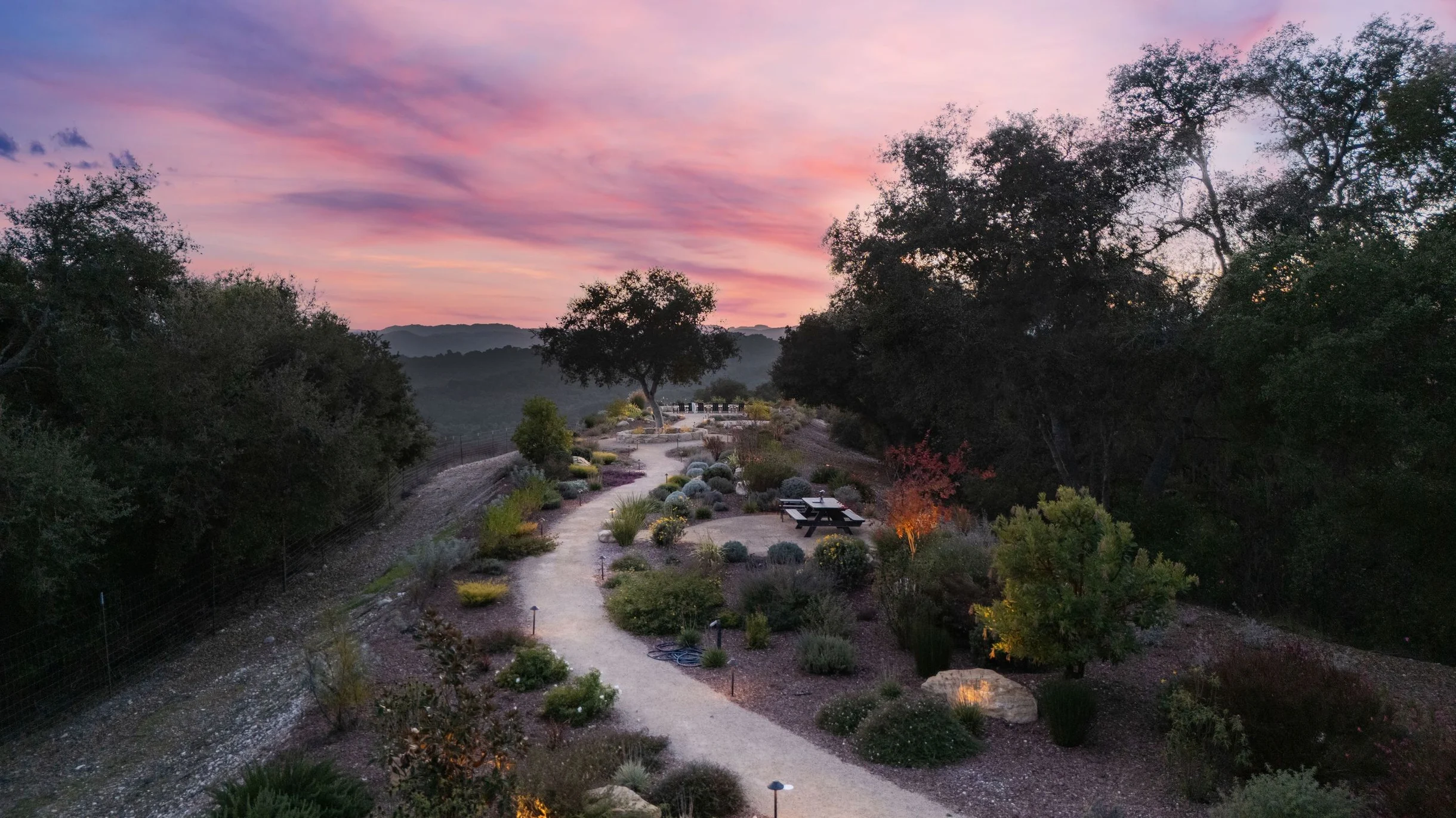 Wander Paso Robles Haze #114