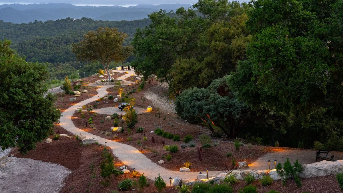 Wander Paso Robles Haze #115