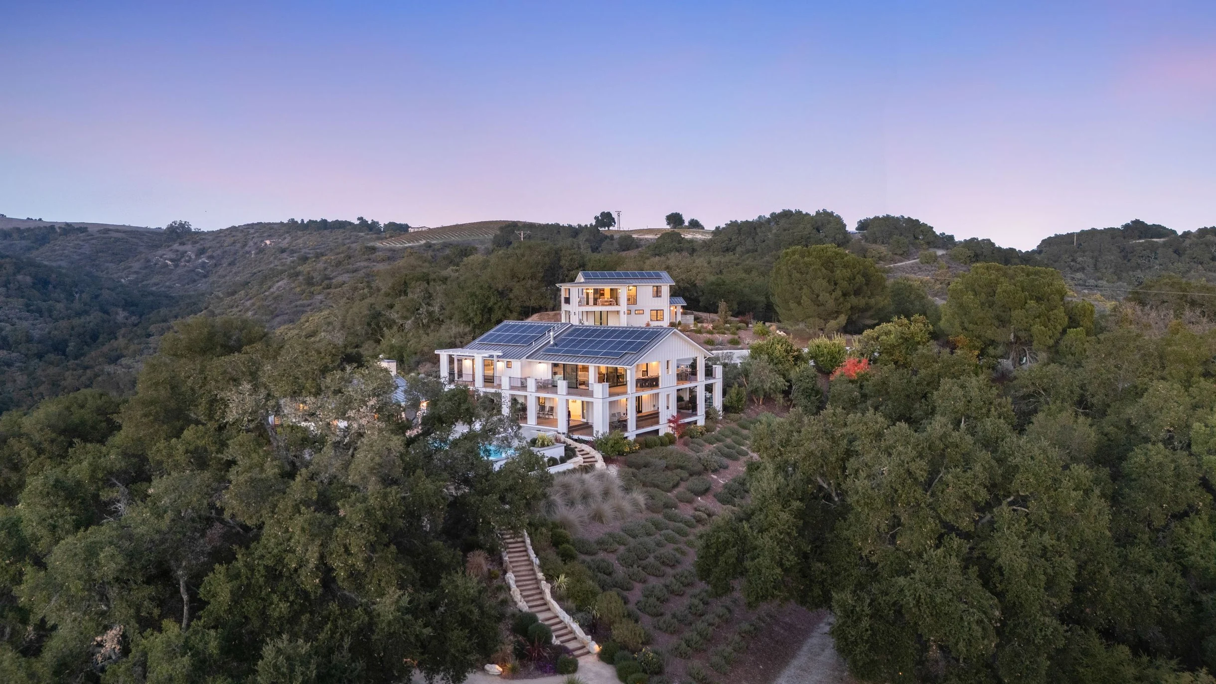 Wander Paso Robles Haze #151