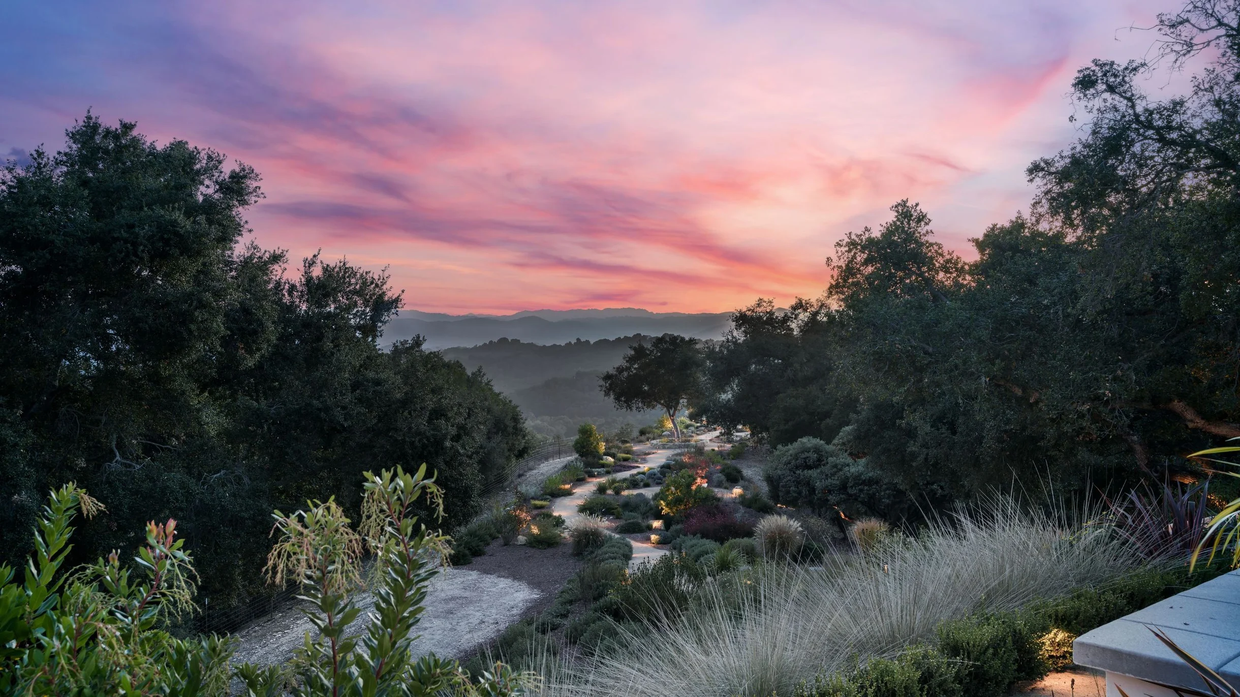 Wander Paso Robles Haze #135