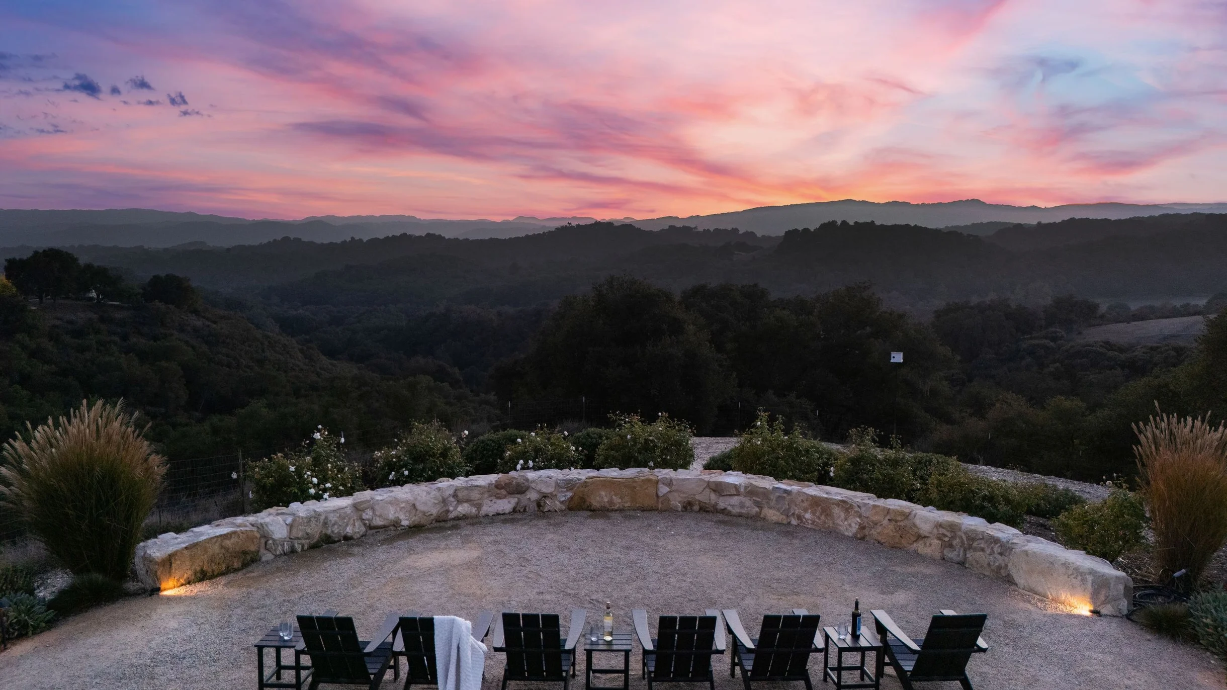 Wander Paso Robles Haze #99