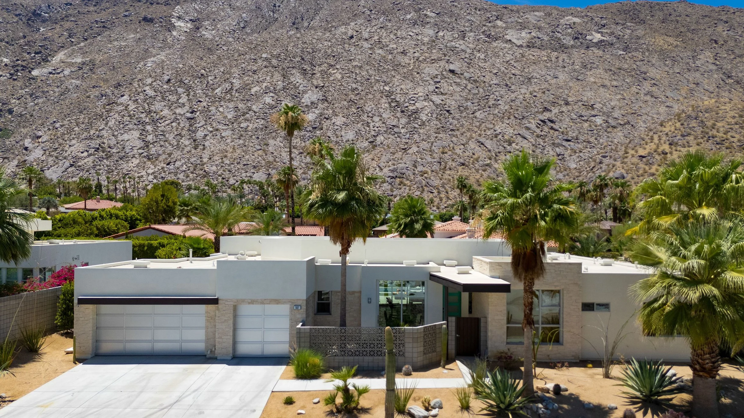 Wander Palm Springs Palms #84