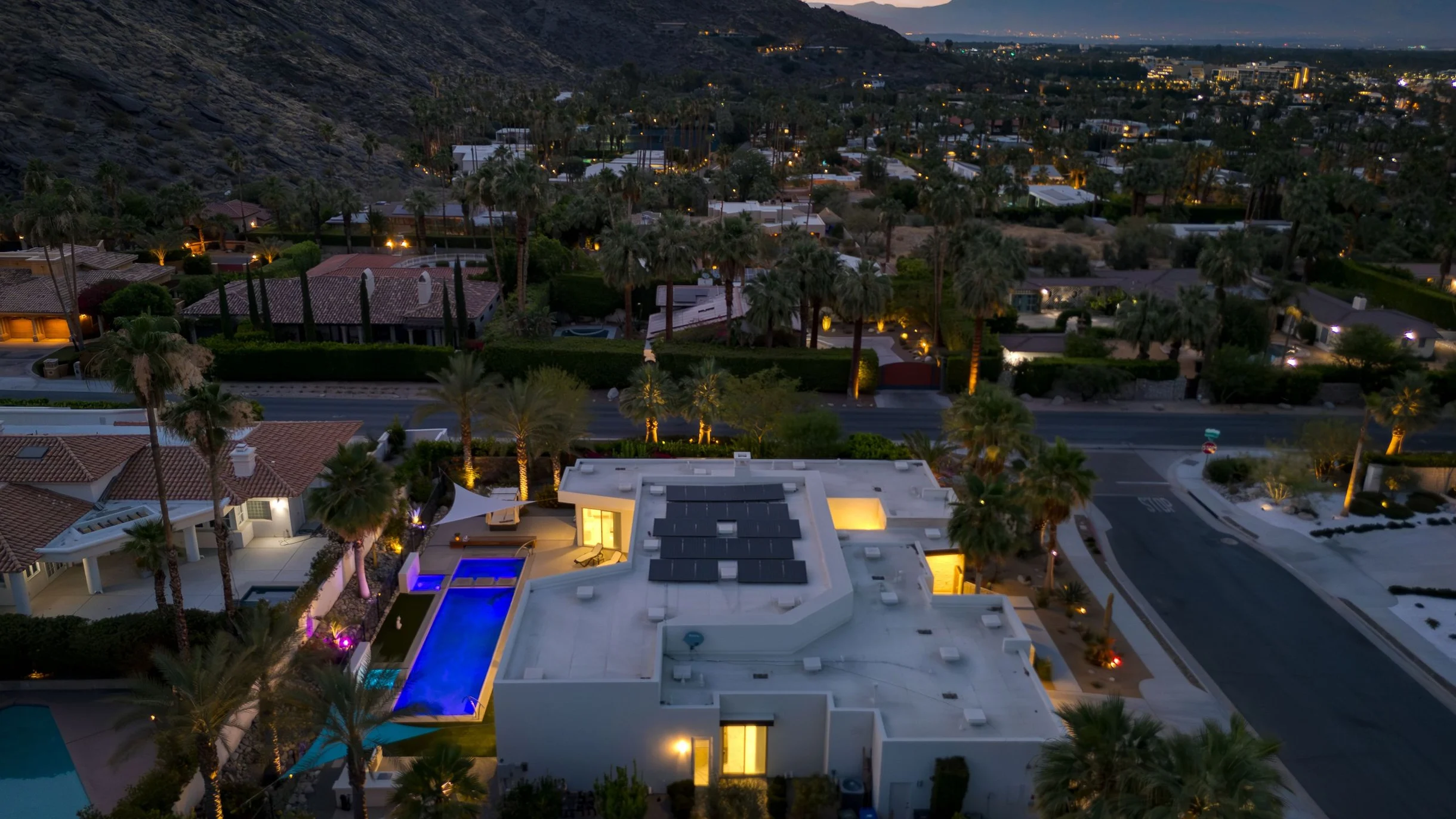 Wander Palm Springs Palms #49