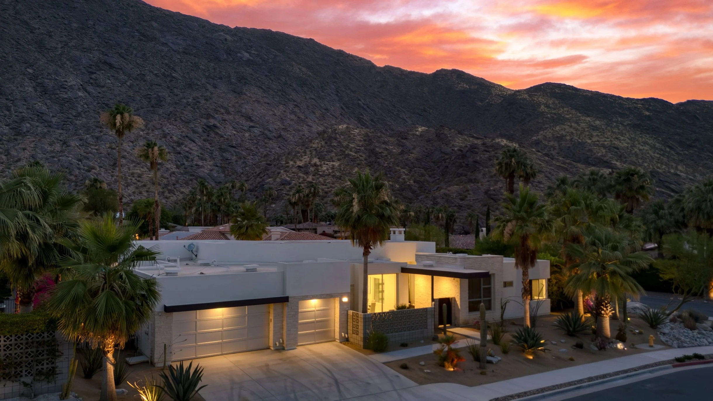 Wander Palm Springs Palms #79