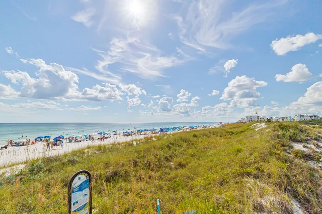 Wander Inlet Gulf #117