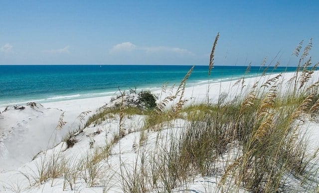 Wander Inlet Beach Views #65