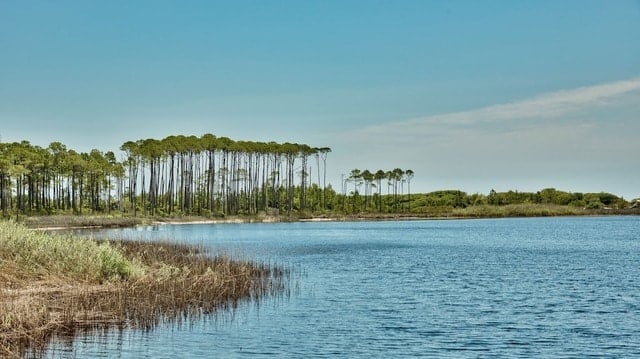 Wander Inlet Beach Views #75
