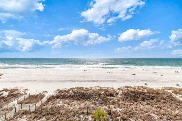 Wander Panama City Beach Waves #49