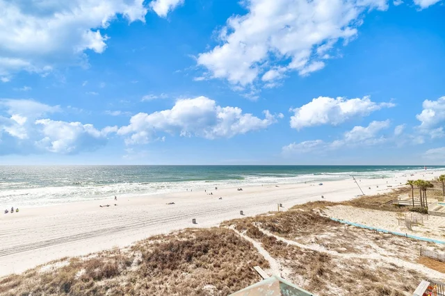 Wander Panama City Beach Waves #74