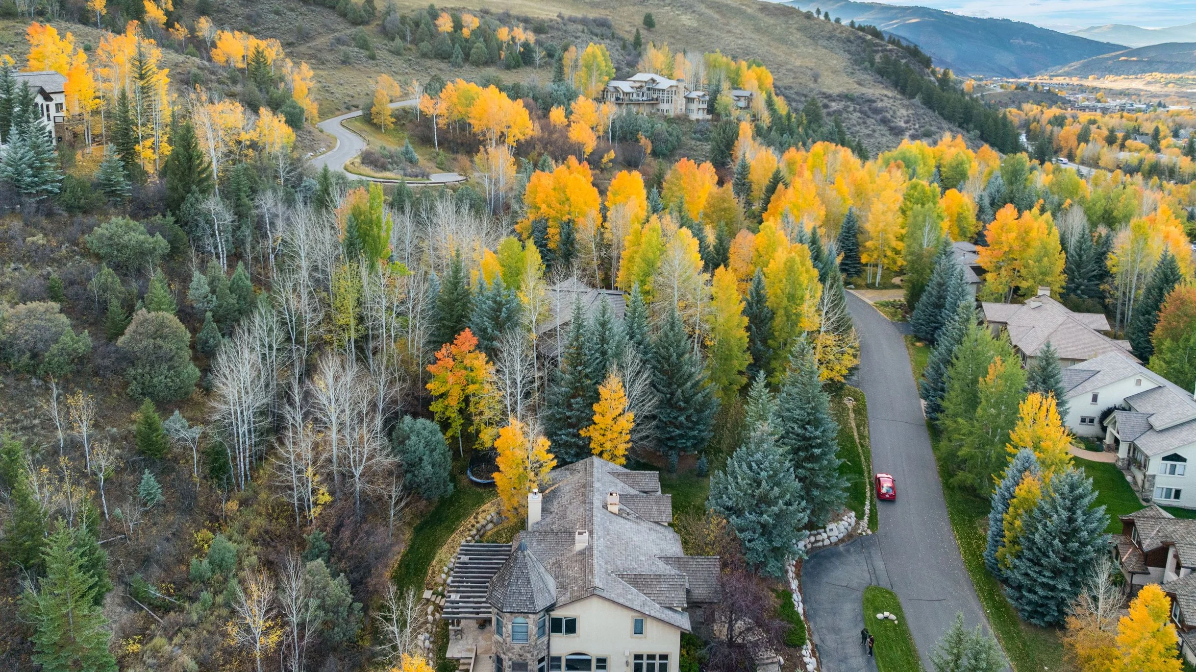 Wander Edwards Aspens #96