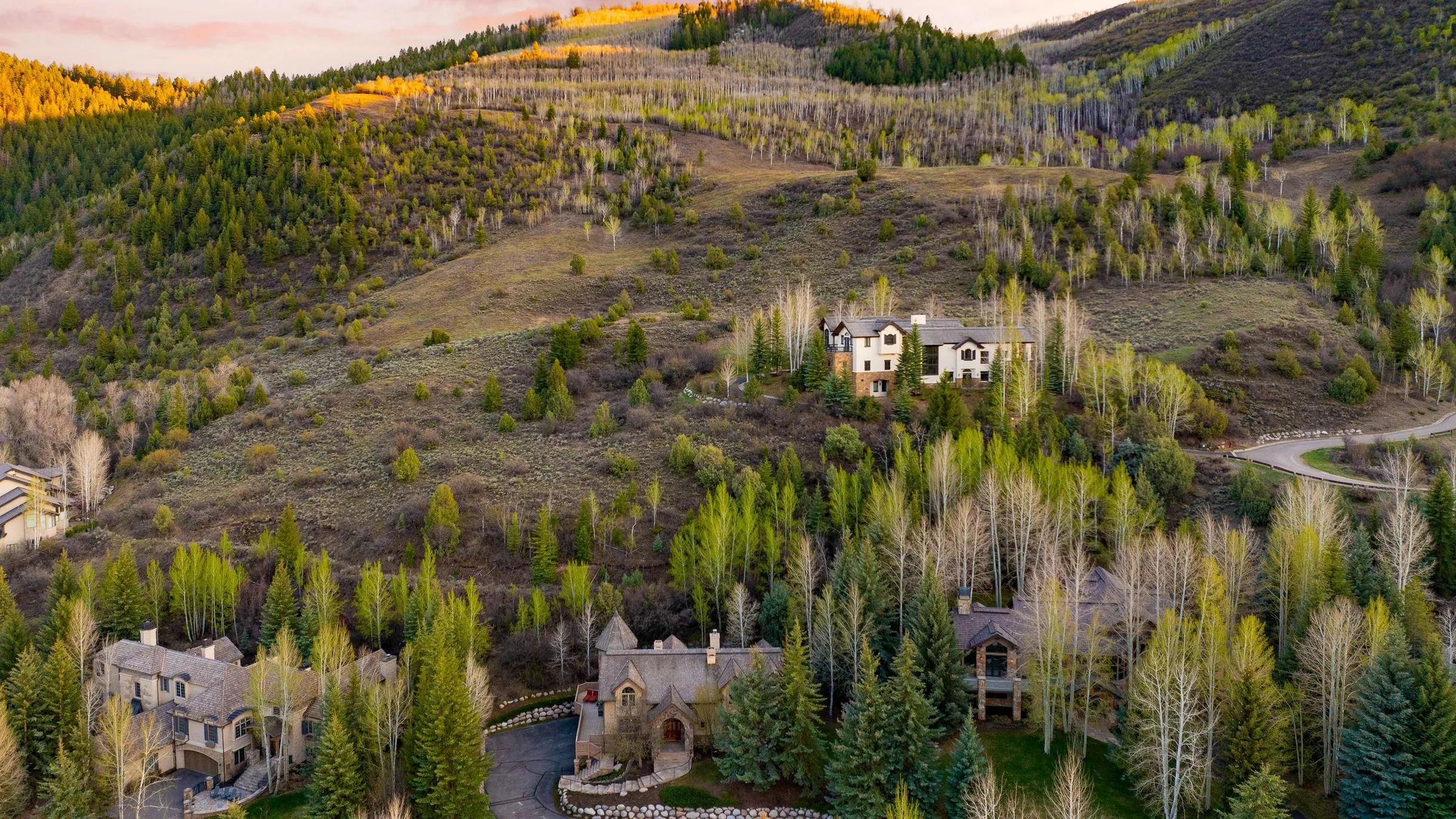 Wander Edwards Aspens #90