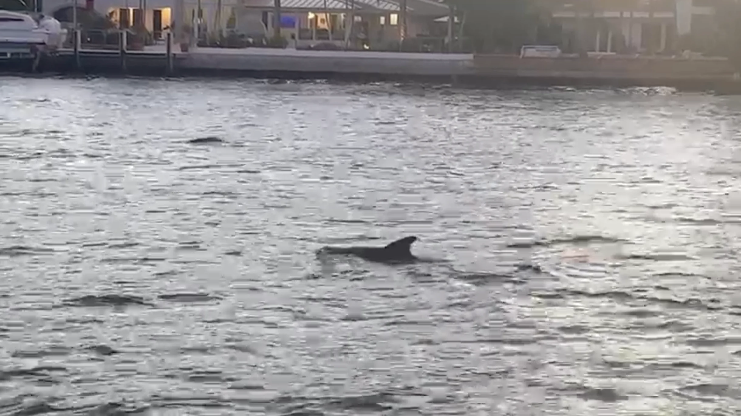 Wander Fort Lauderdale Waterways #32