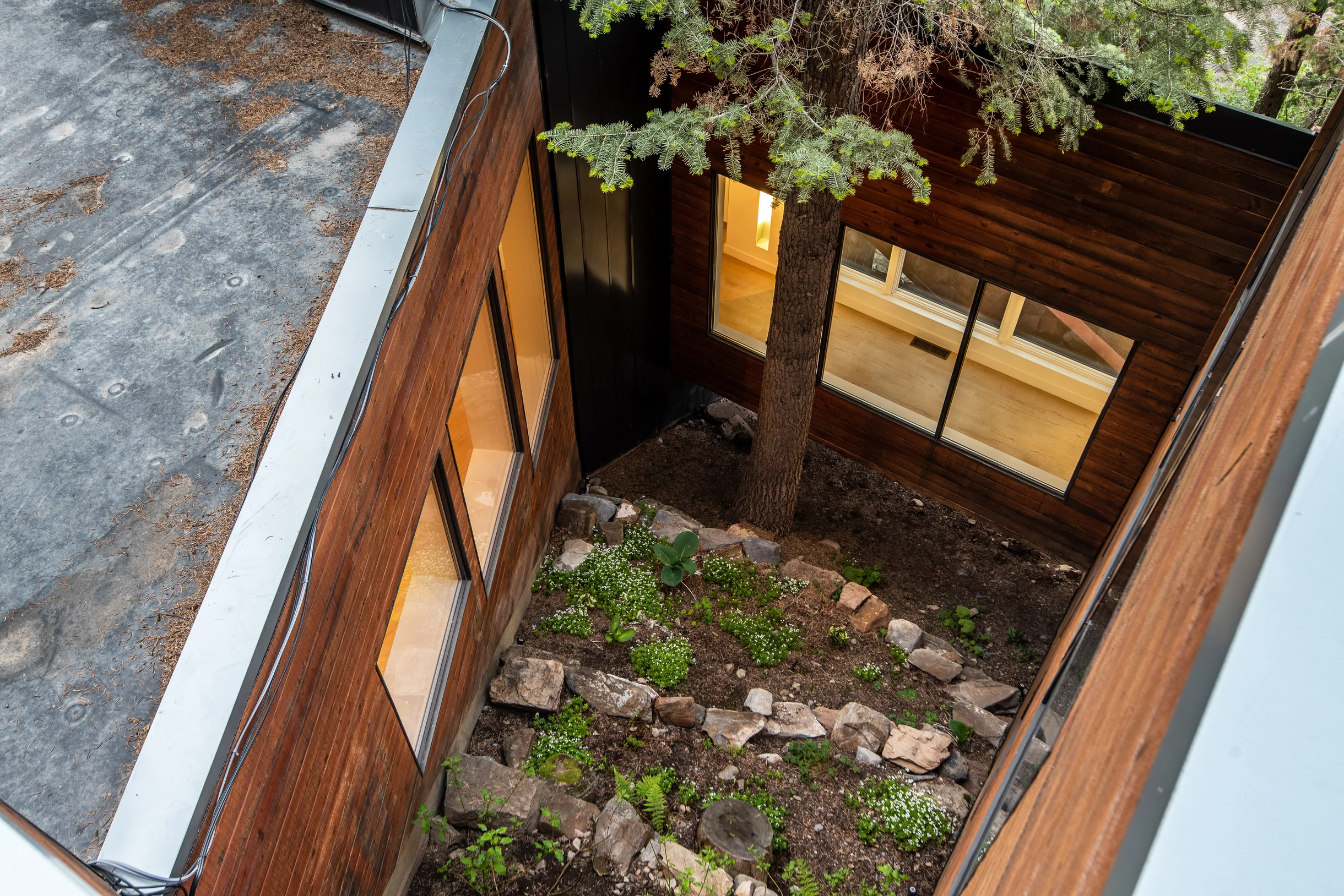 Modern Treehouse #72