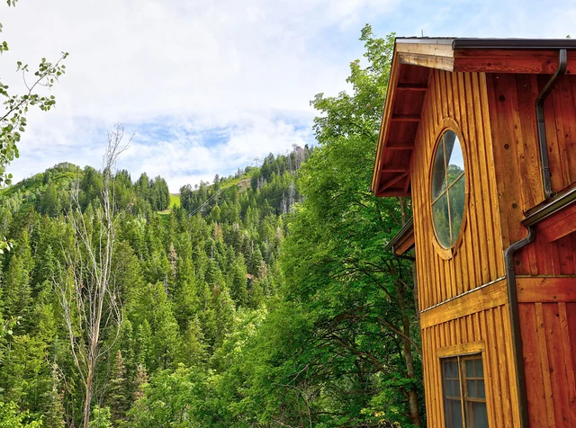 Cuckoo's Nest #135