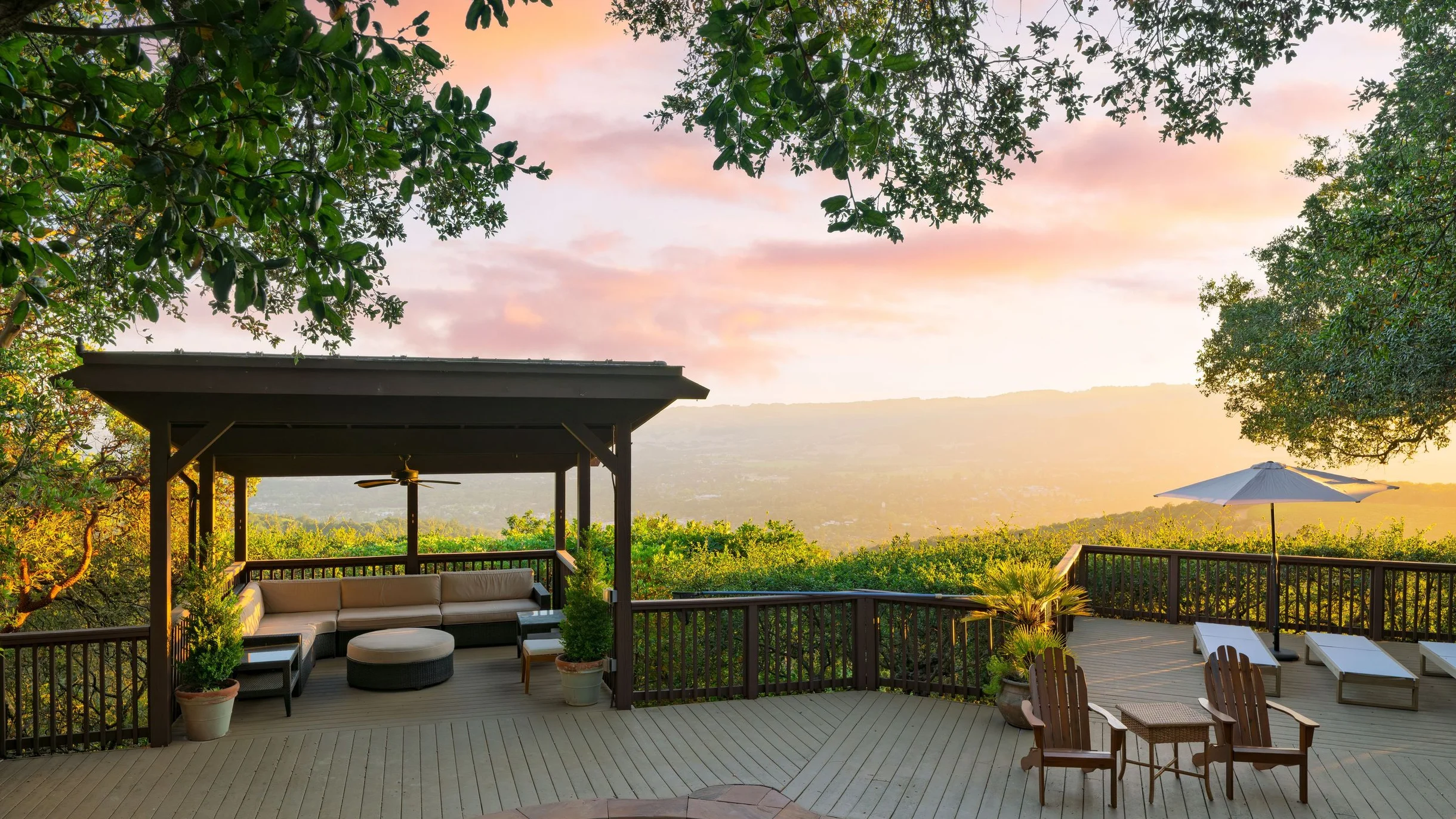 Wander Sonoma Groves #98