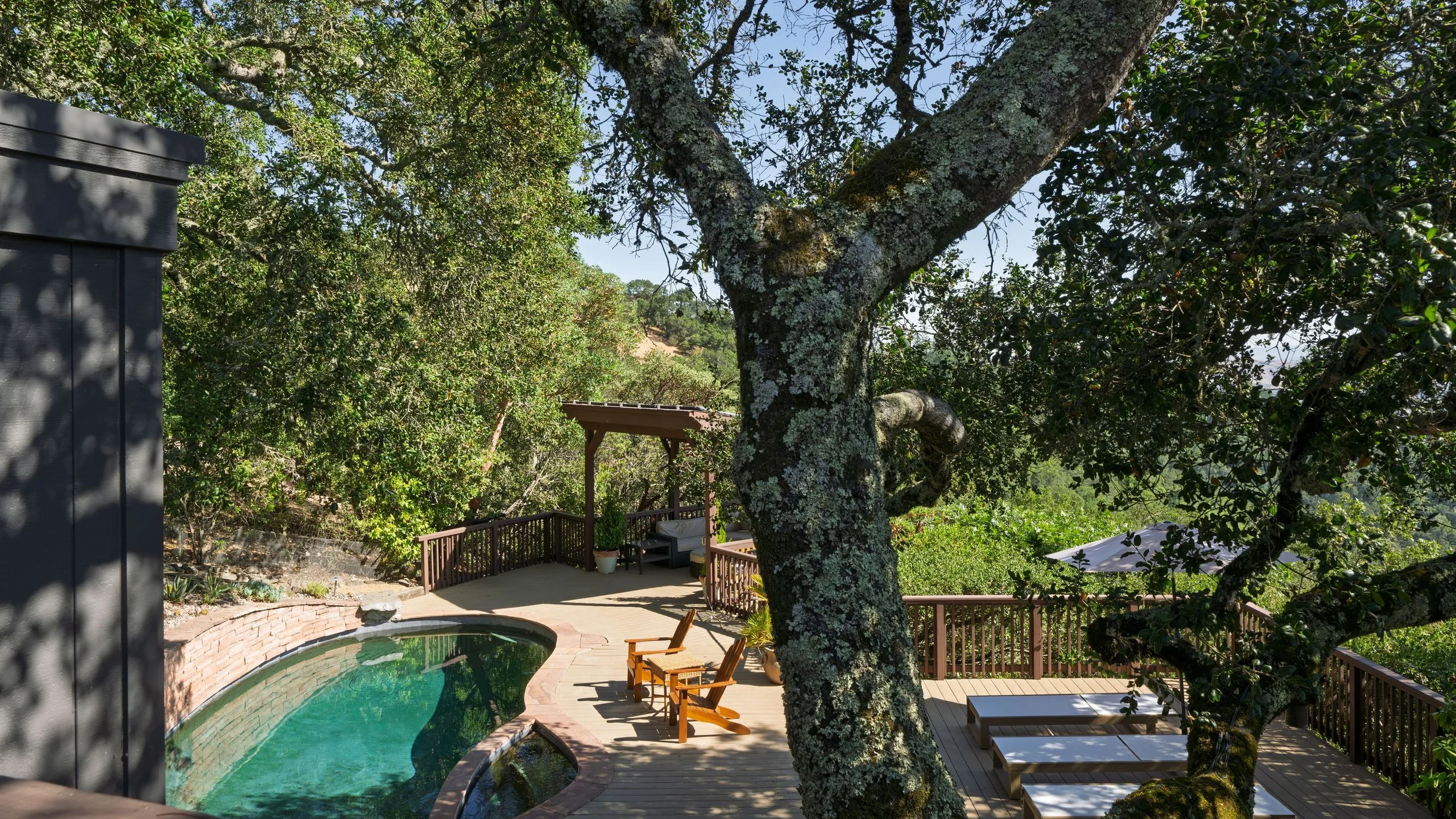 Wander Sonoma Groves #138