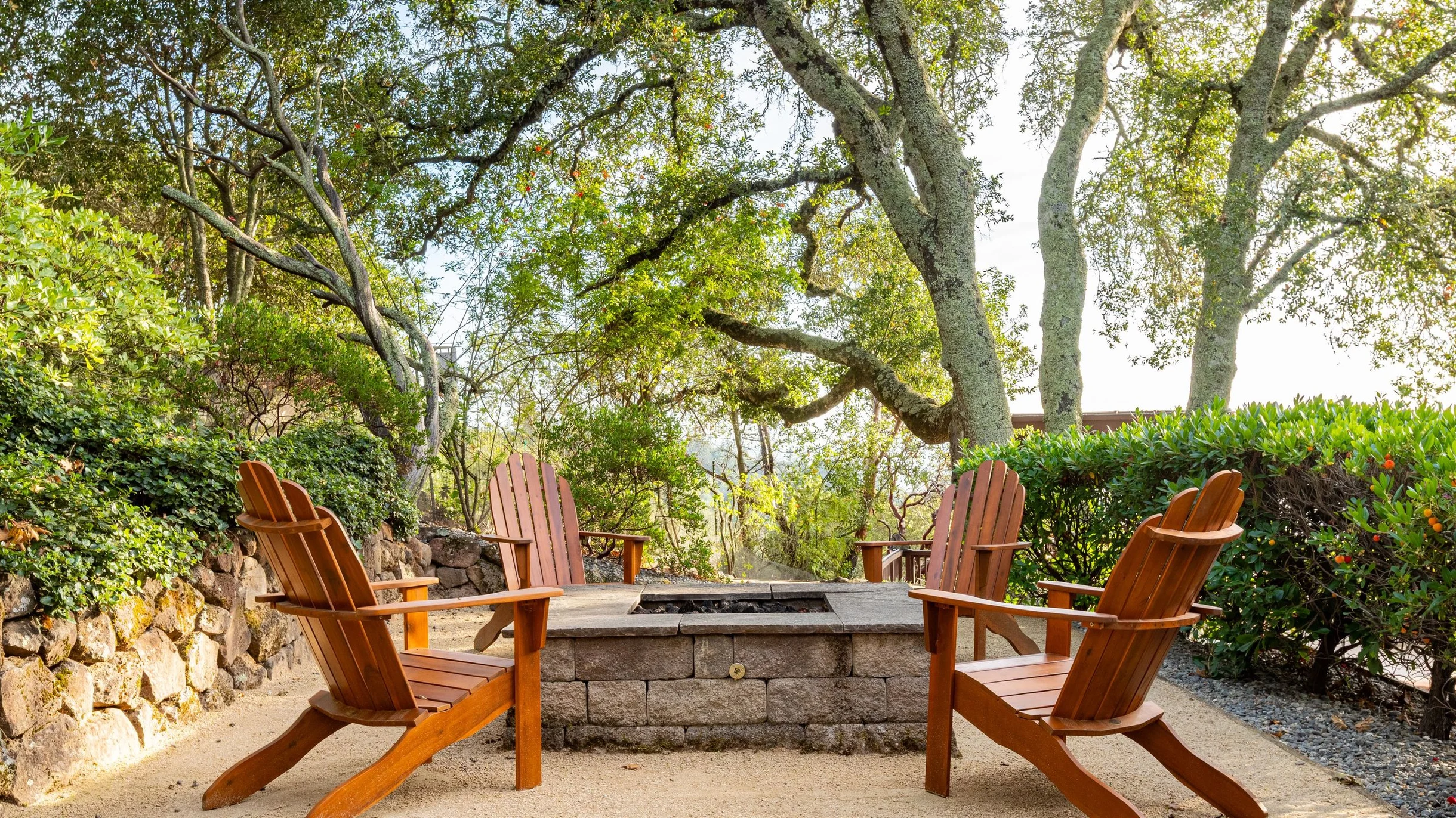 Wander Sonoma Groves #128