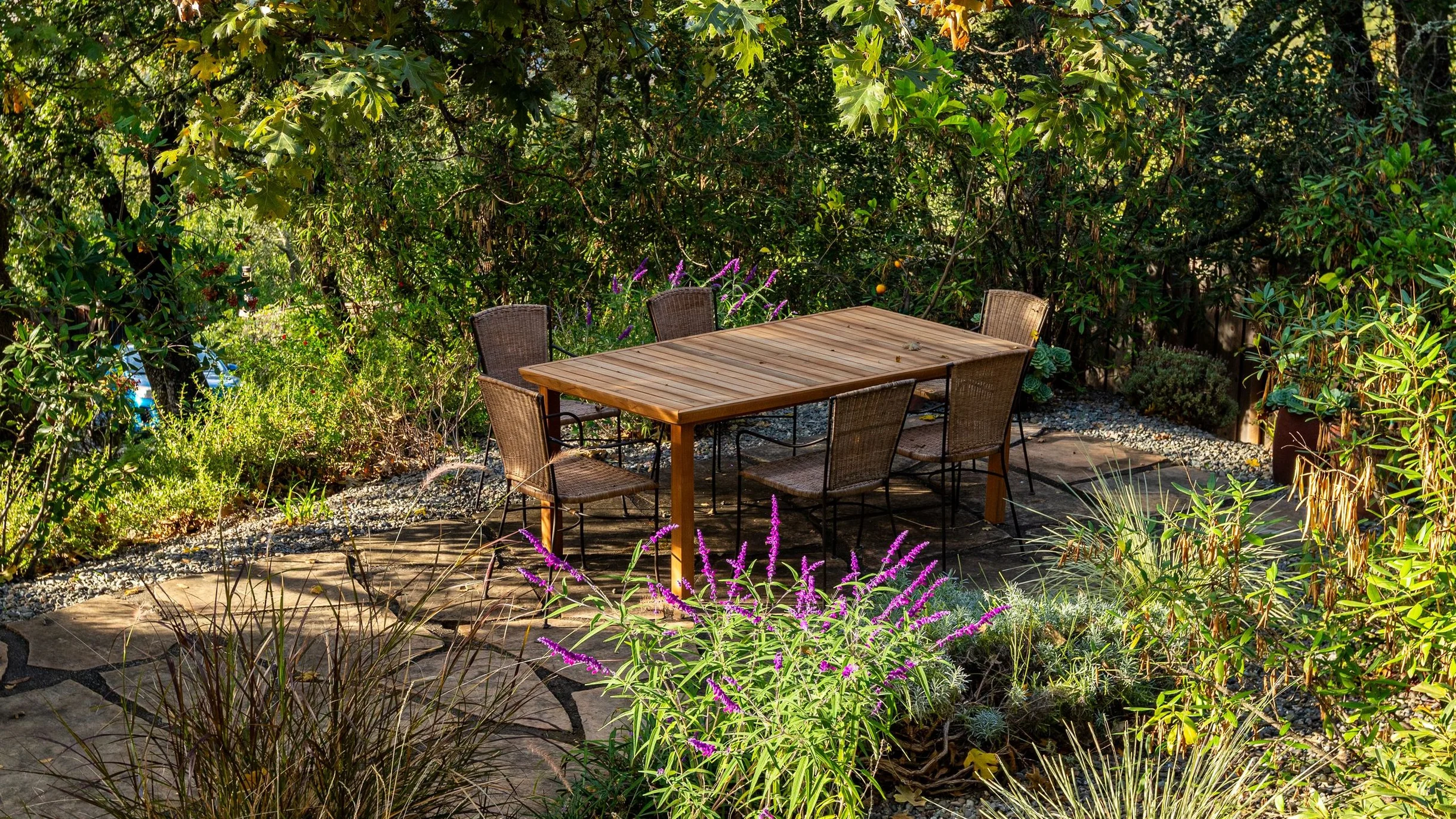 Wander Sonoma Groves #137
