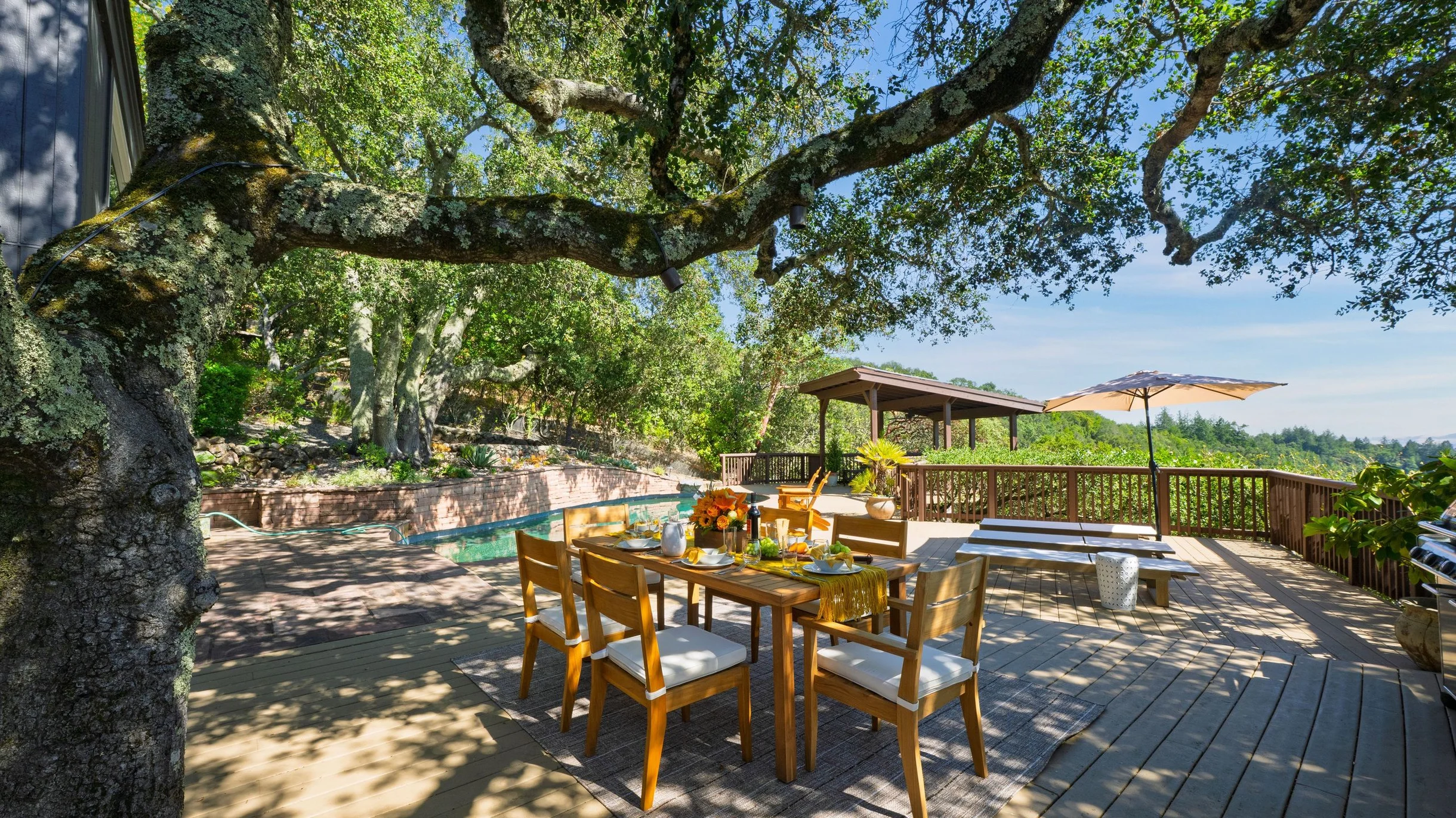 Wander Sonoma Groves #151