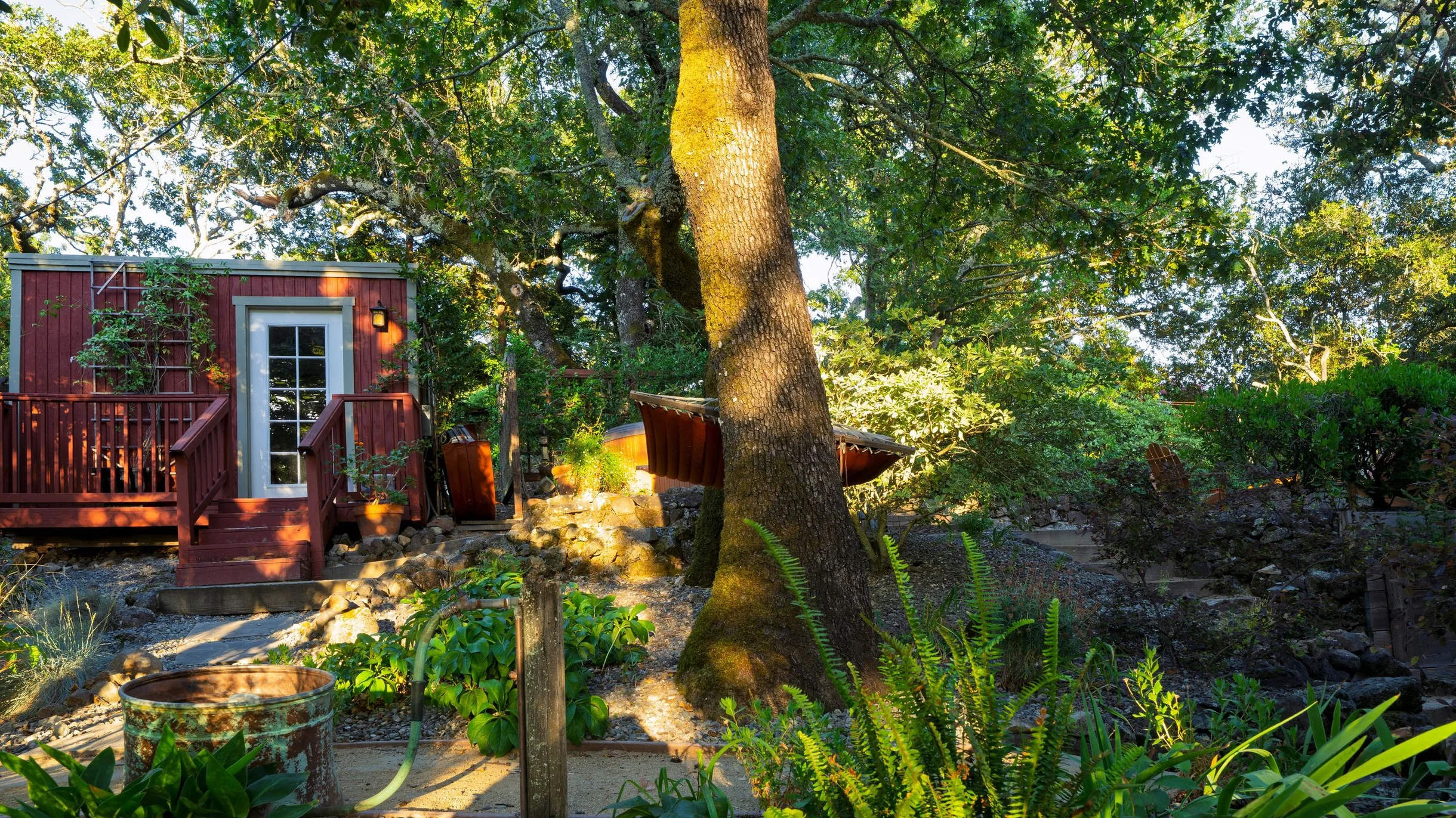 Wander Sonoma Groves #133