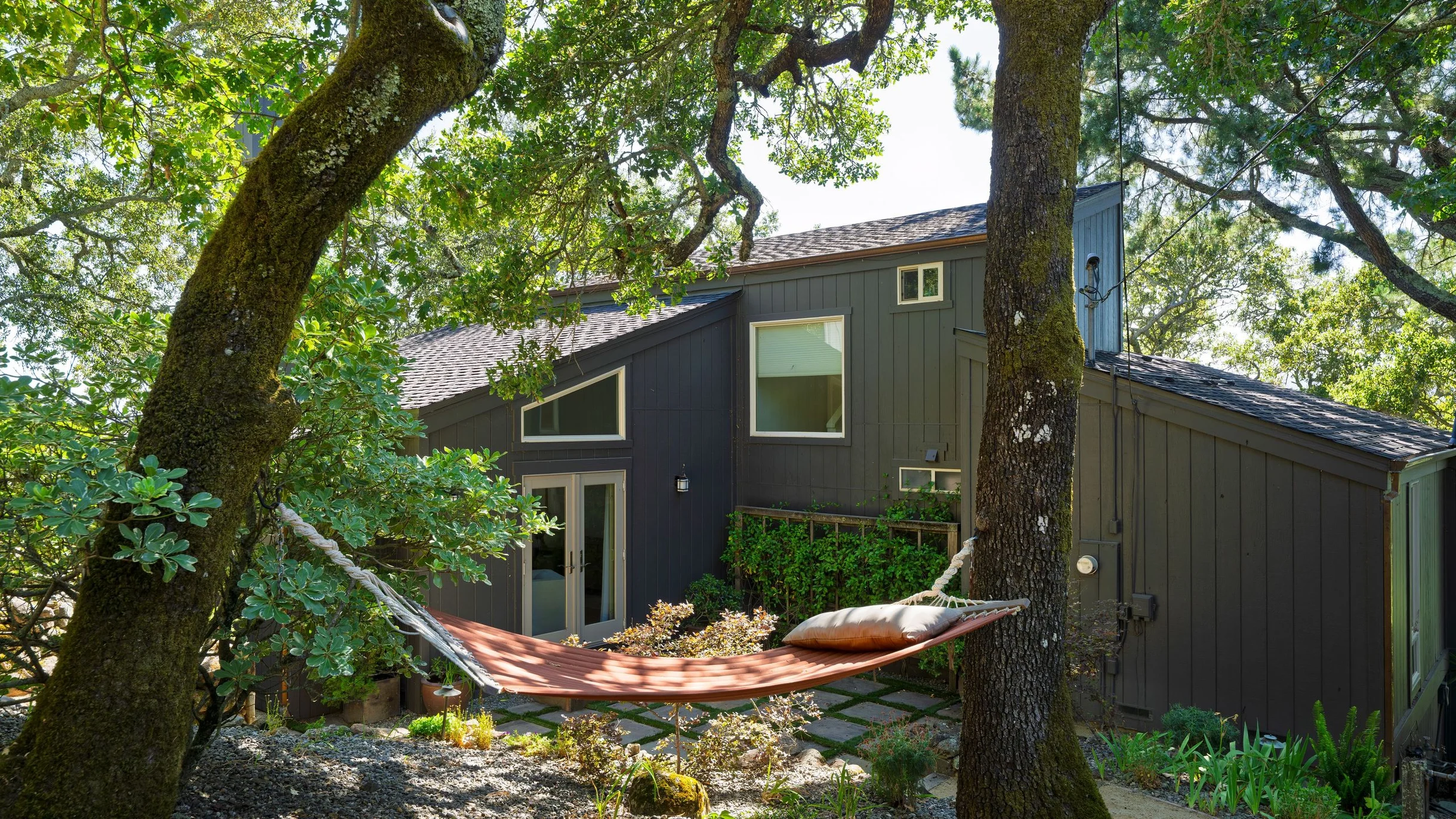 Wander Sonoma Groves #139