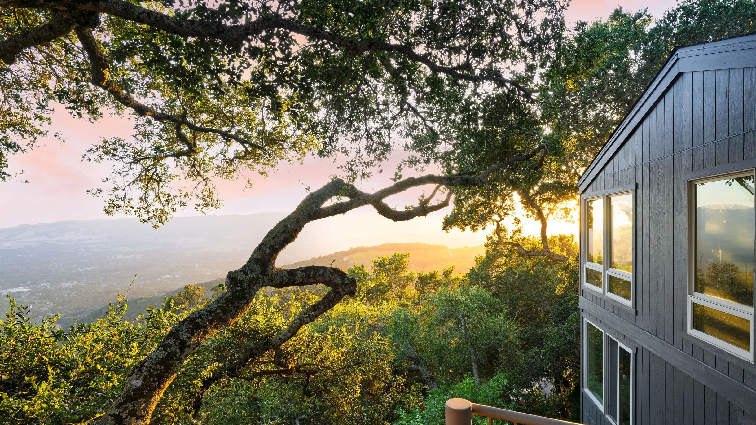 Wander Sonoma Groves #125