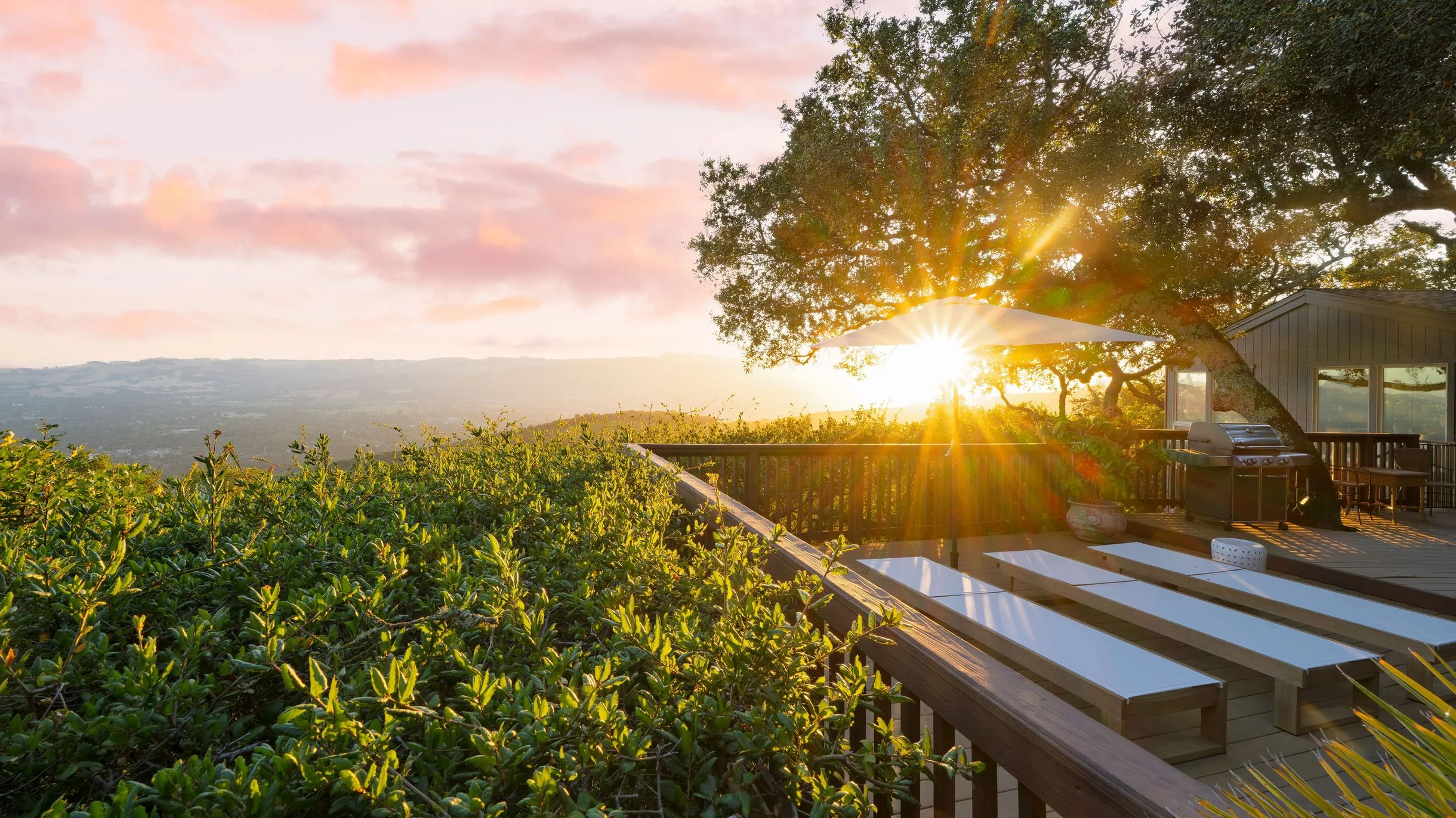Wander Sonoma Groves #120