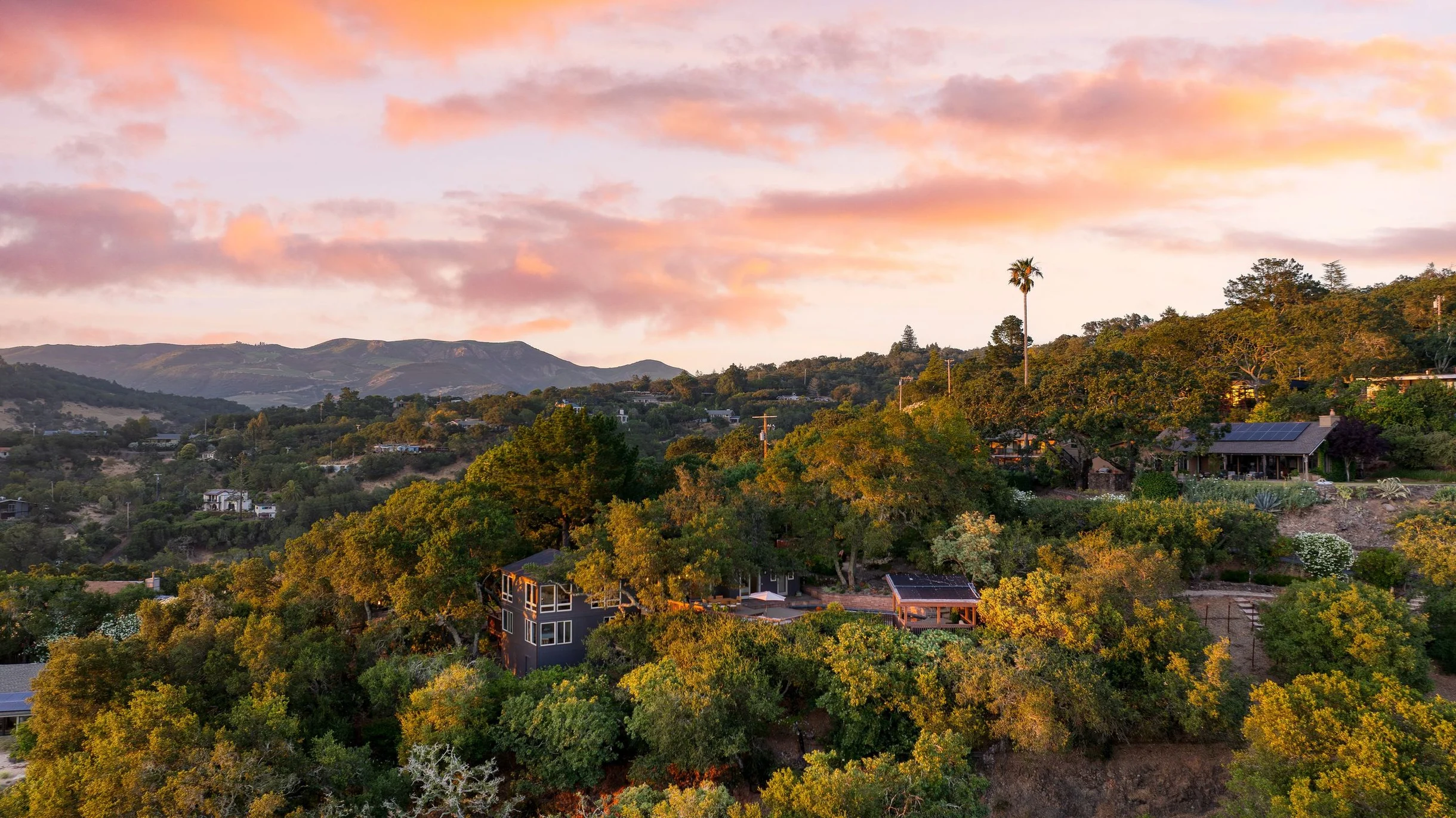 Wander Sonoma Groves #135