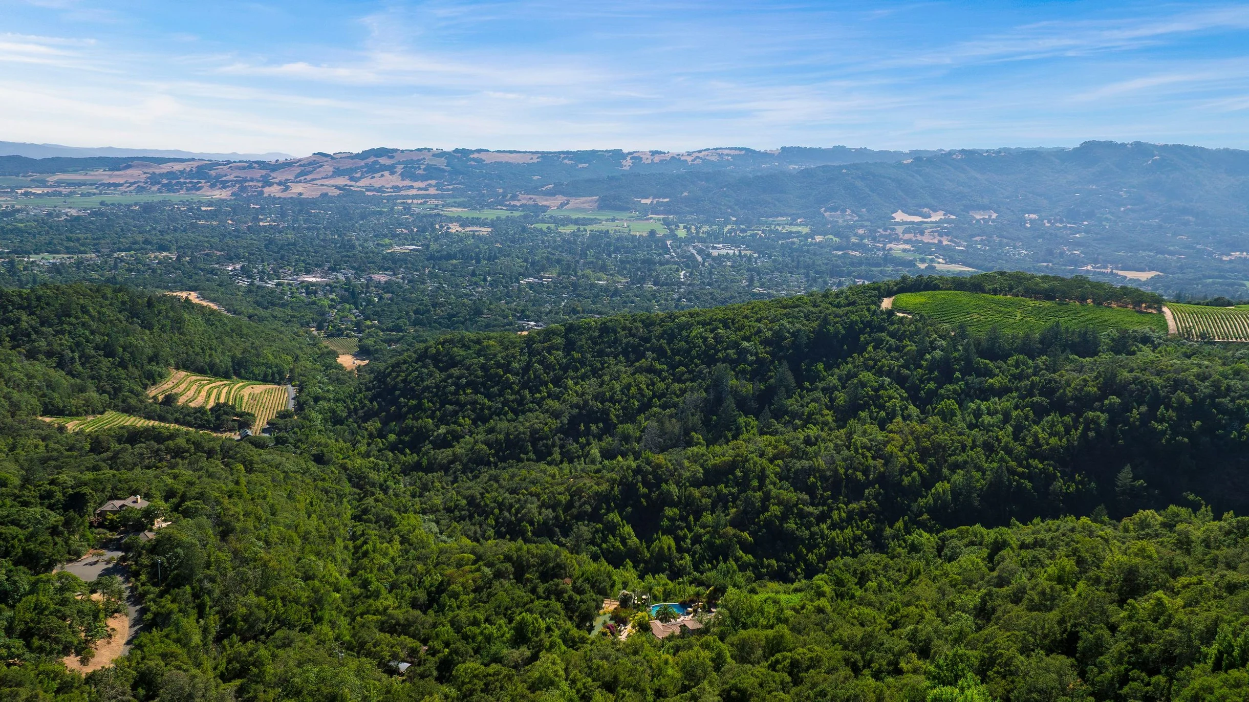 Wander Sonoma Groves #143