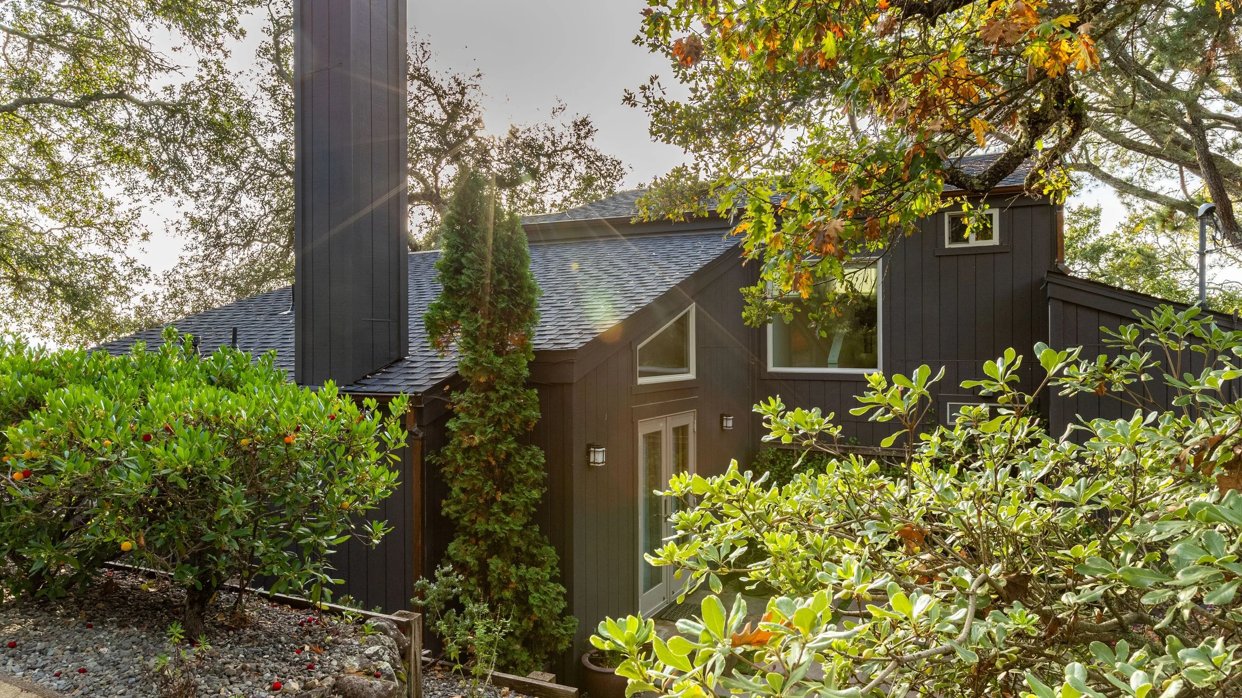 Wander Sonoma Groves #153