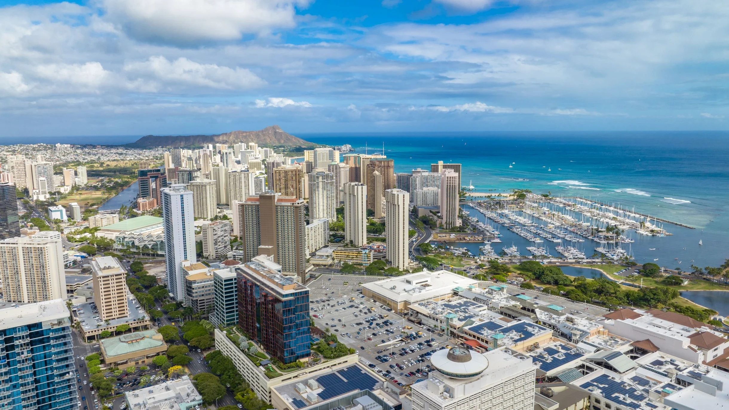Wander Honolulu Skyline #56