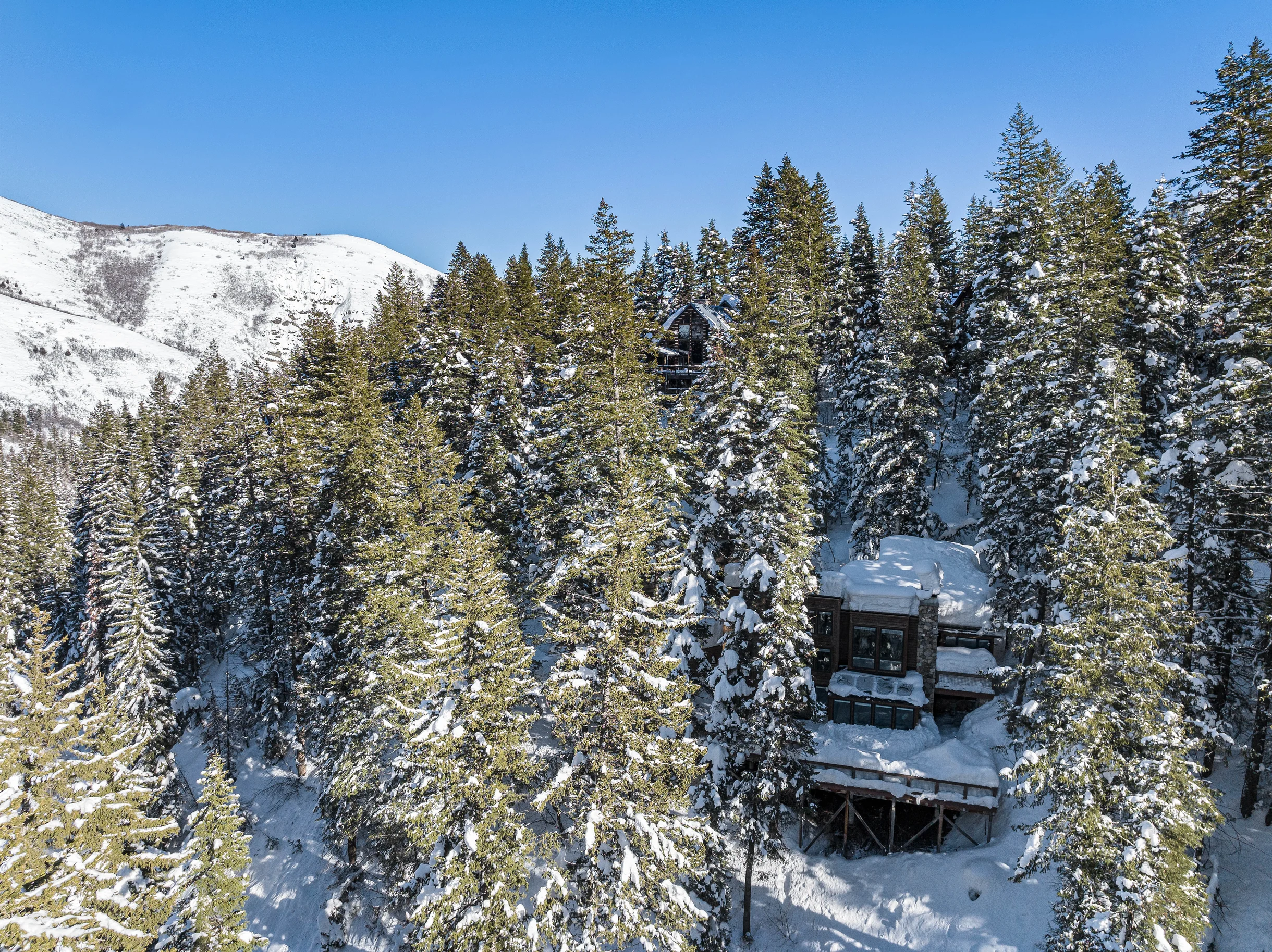 Carpe Montem #73