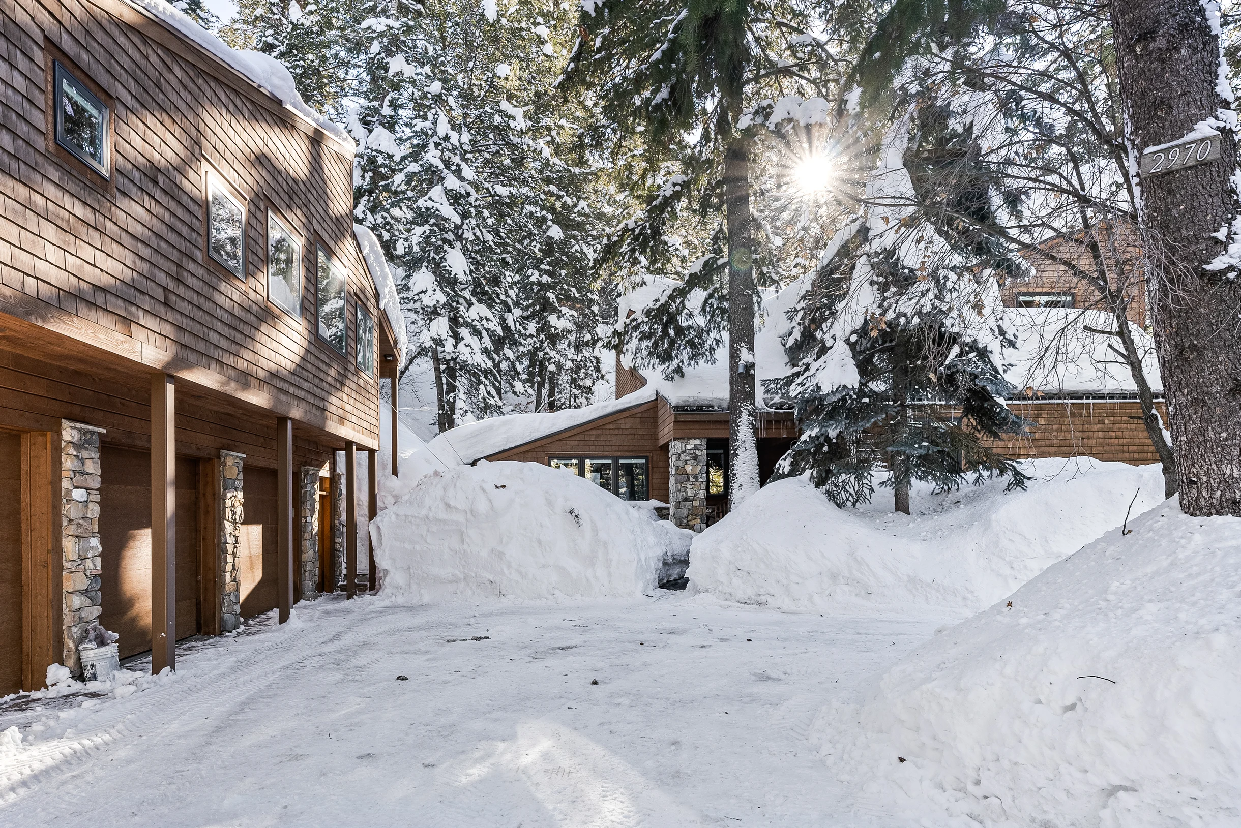 Carpe Montem #77