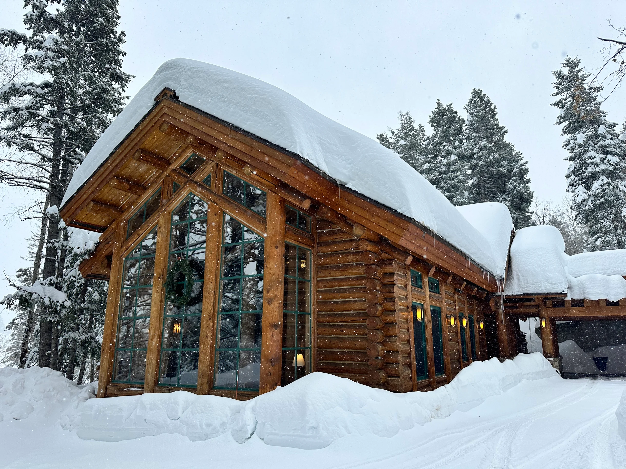 Treehouse Lodge #78