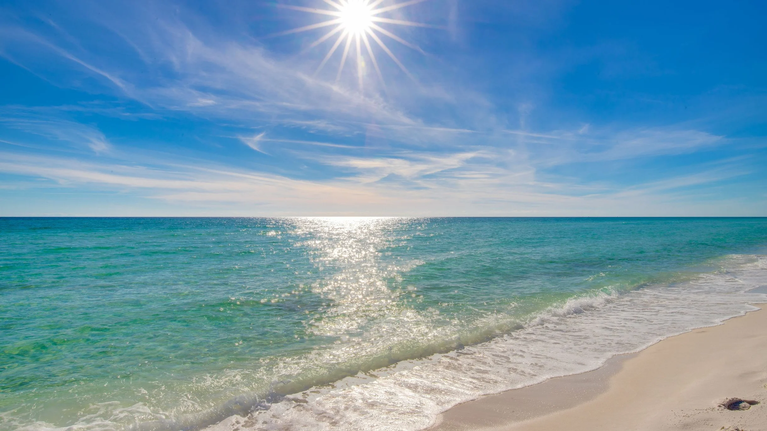 Wander Destin Sands #77