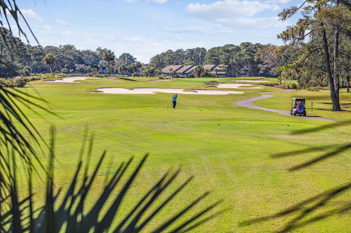 Wander Hilton Head Fairways #91