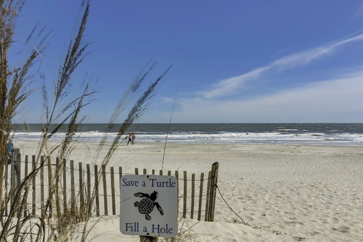 Wander Hilton Head Fairways #83