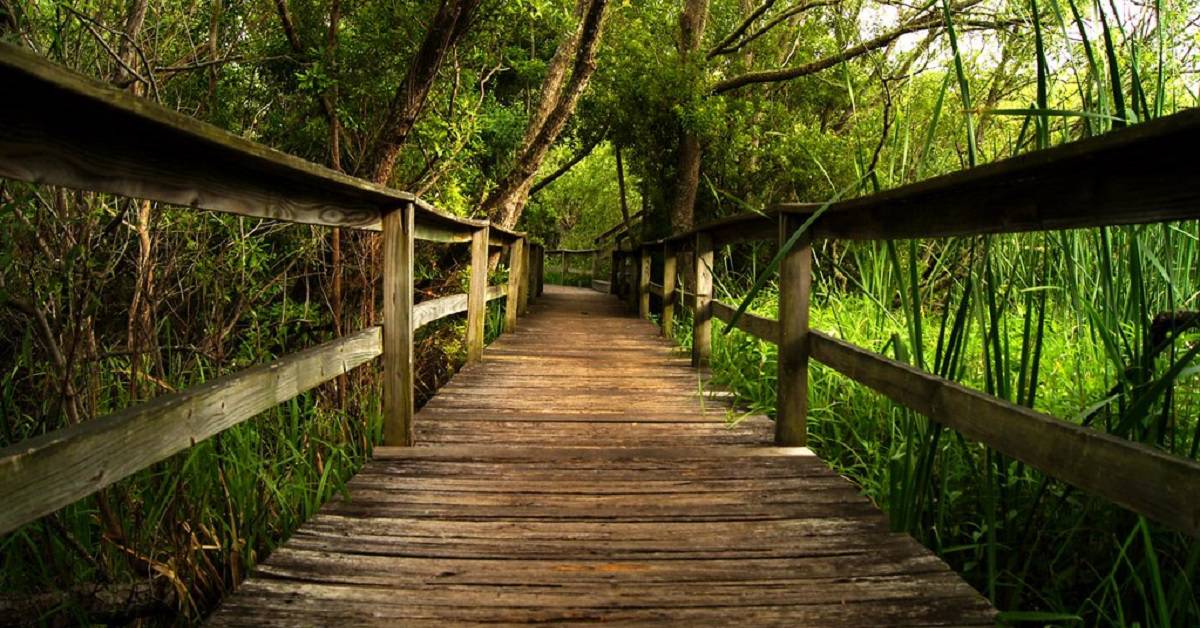 Wander Hilton Head Fairways #103