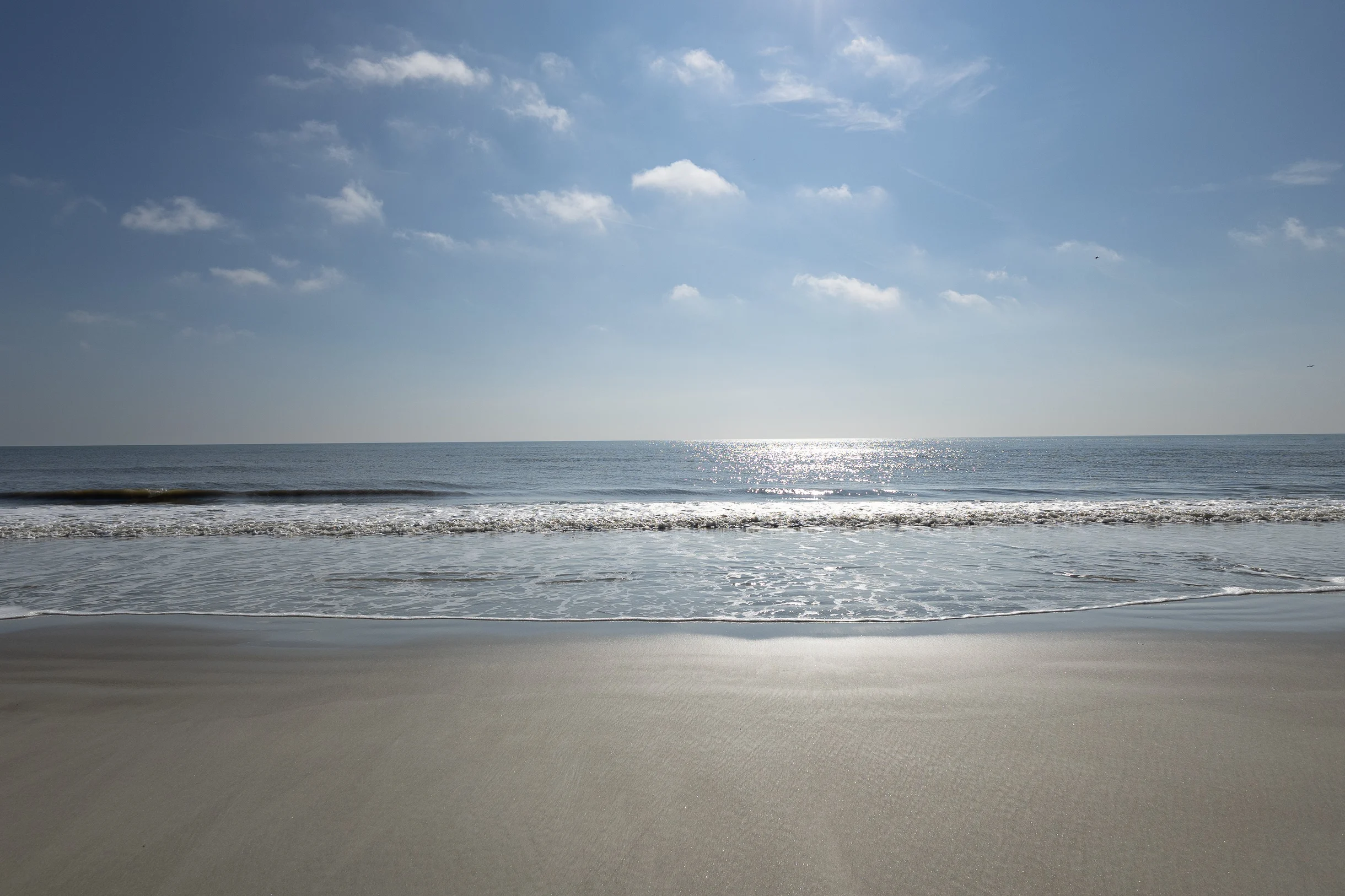 Wander Hilton Head Fairways #78