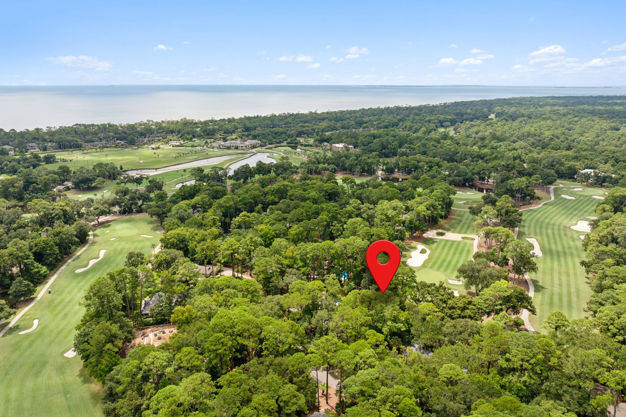 10 Willow Oak #53