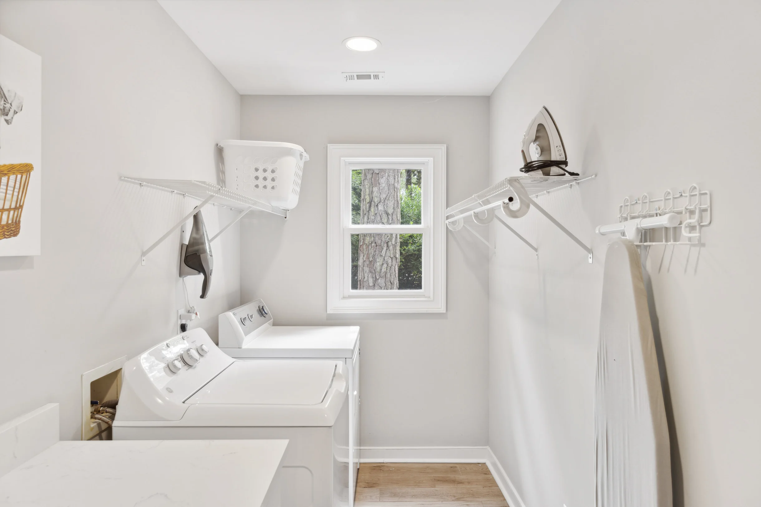 10 Willow Oak #61